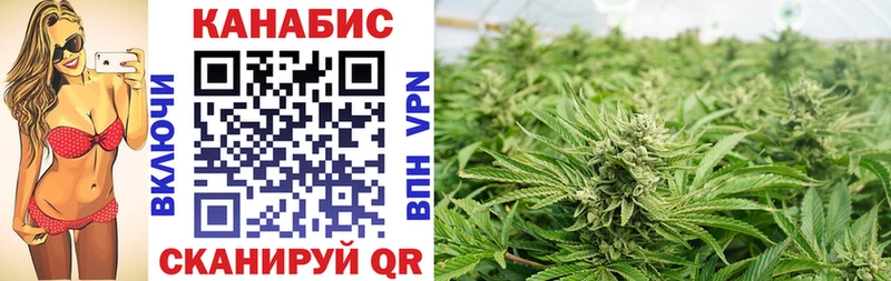 Конопля индика  где найти   Никольск 